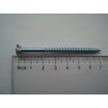 Wood Screw,Self Tapping Screw with Rubber Washer